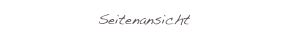 Seitenansicht